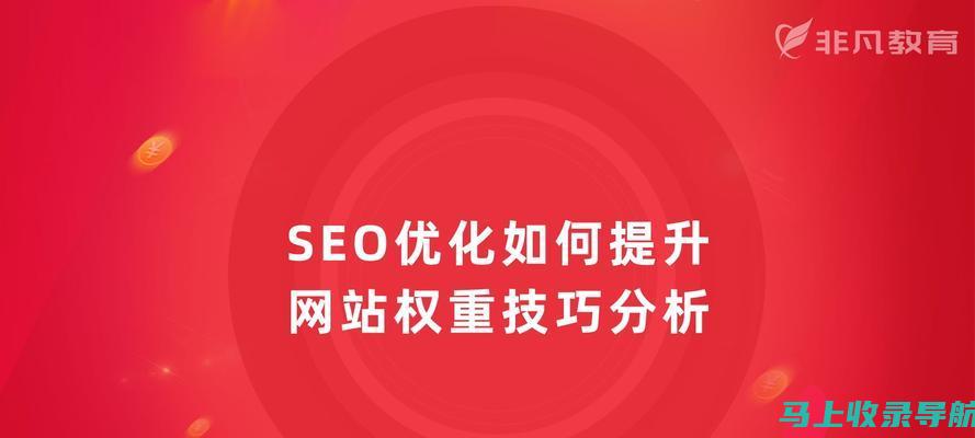 SEO网站推广工具实战教程：从零开始打造流量利器